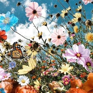 Meet your Posher, Addison